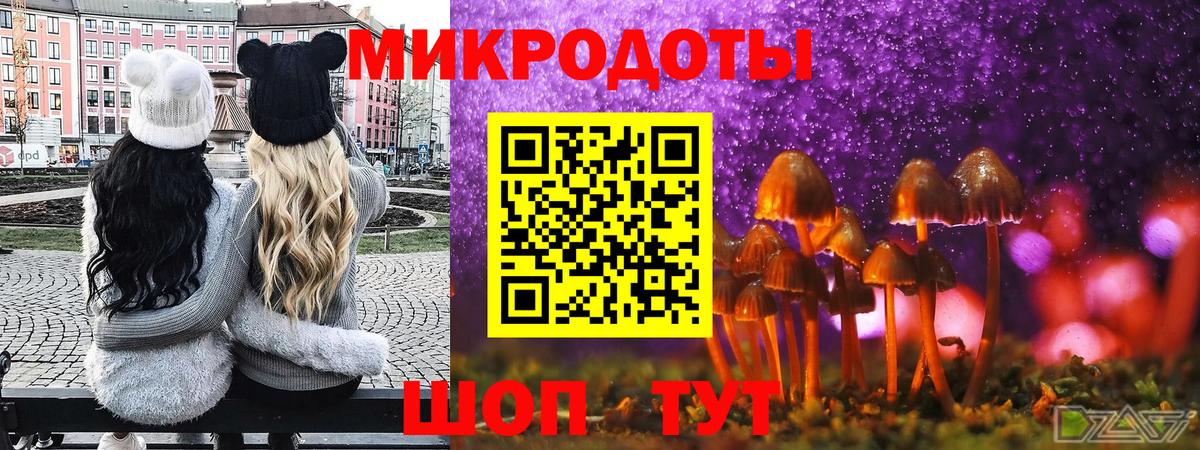 Полысаево  Галлюциногенные грибы Psilocybine cubensis  Псилоцибиновые грибы Psilocybe  Вход с VPN 