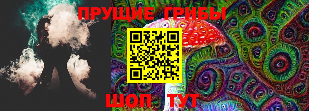 Псилоцибиновые грибы Psilocybine cubensis Полысаево